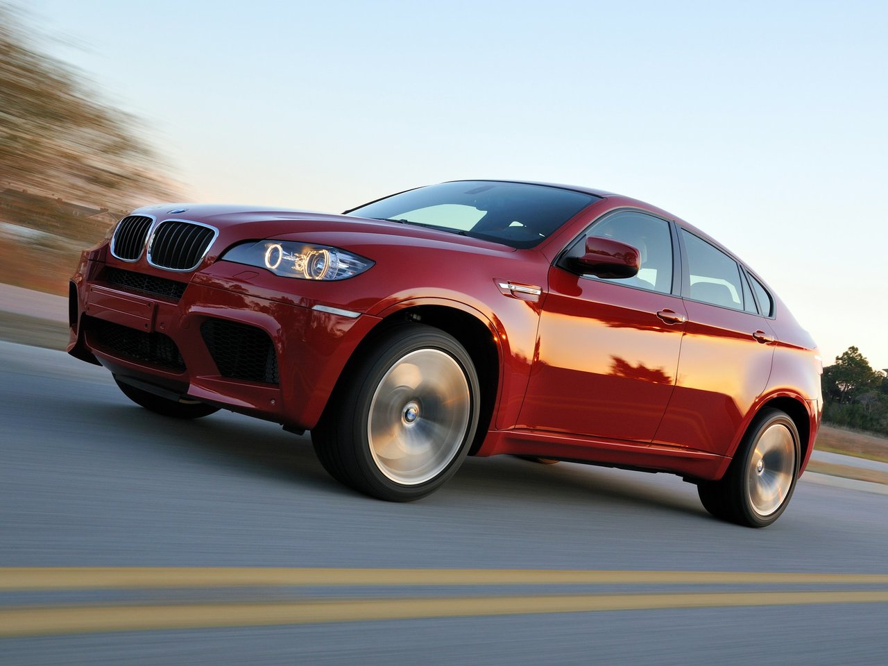 BMW X6 M I E71 (Внедорожник 5 дверей, 2009-2012)