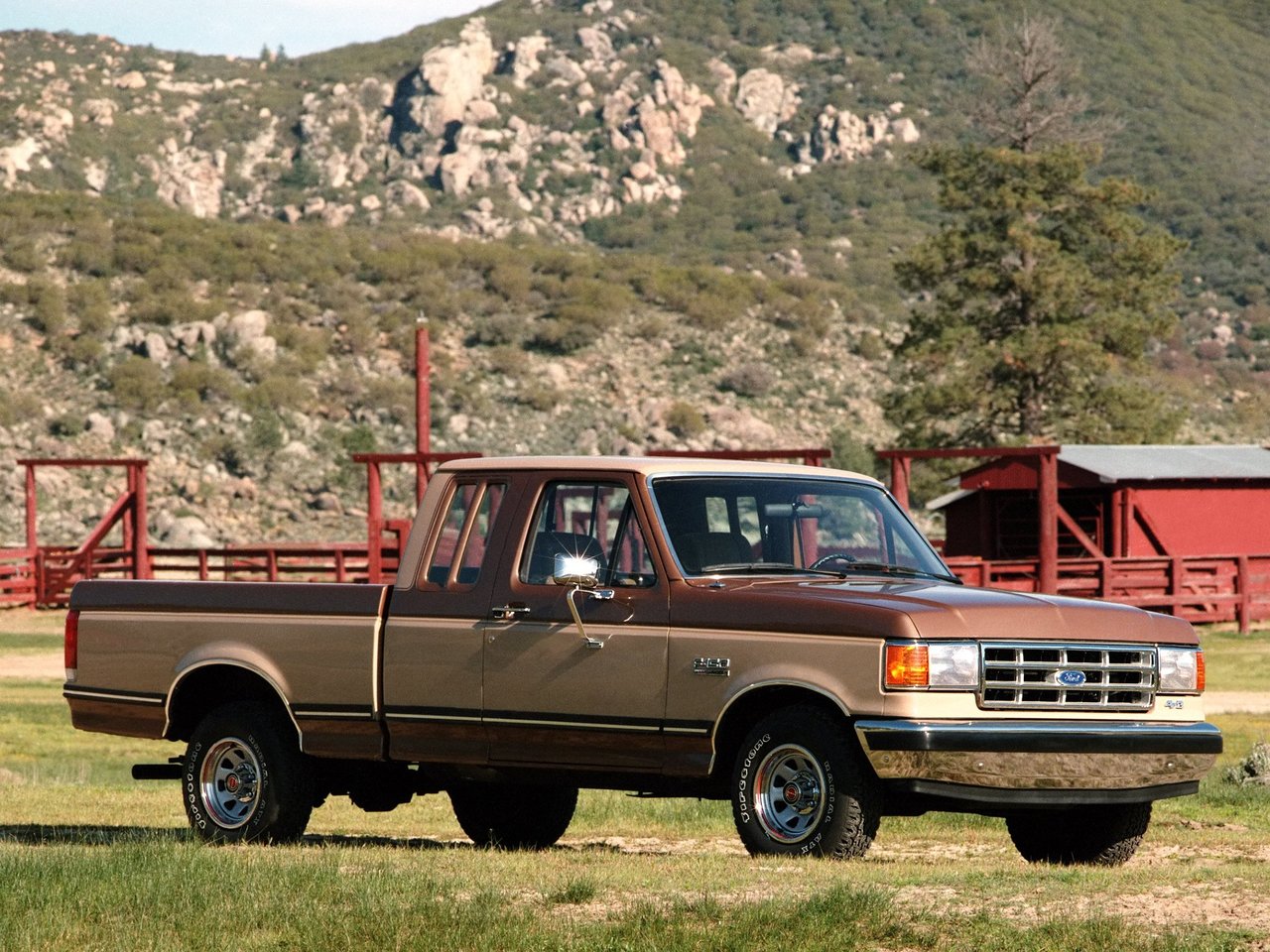 Ford F-150 VIII (Пикап Половина кабины, 1987-1991)