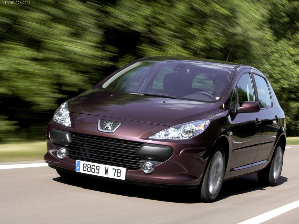 Peugeot 307 I Рестайлинг (Хэтчбек 5 дверей, 2005-2008)