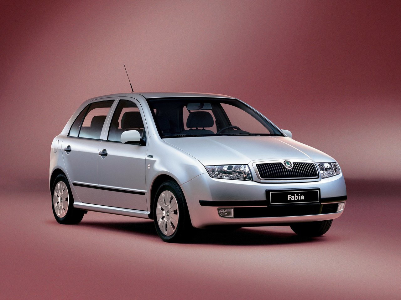 Skoda Fabia I (5-дверный универсал, 1999-2004)